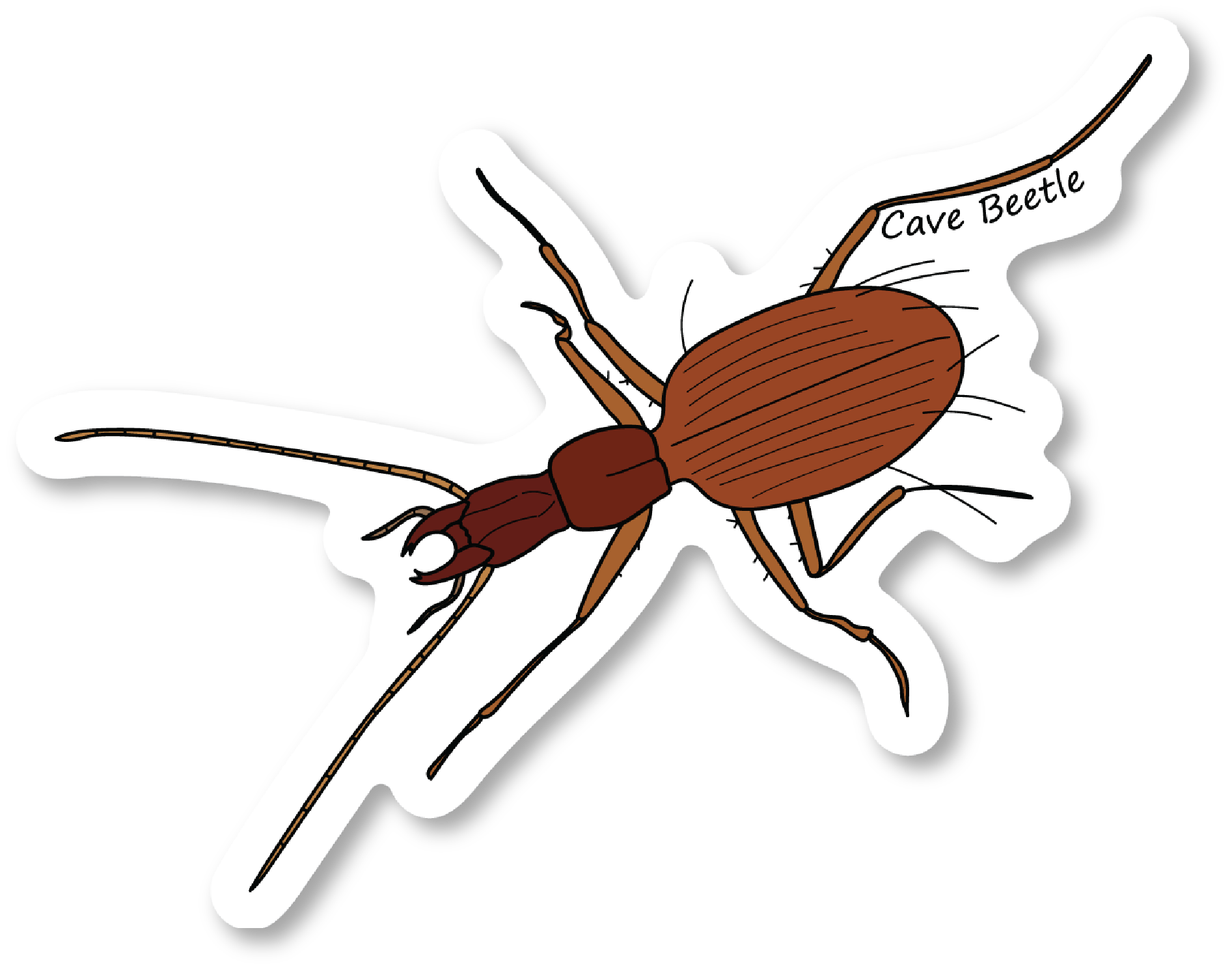 Cave Beetle Vinyl Die Cut Sticker, 3 inch