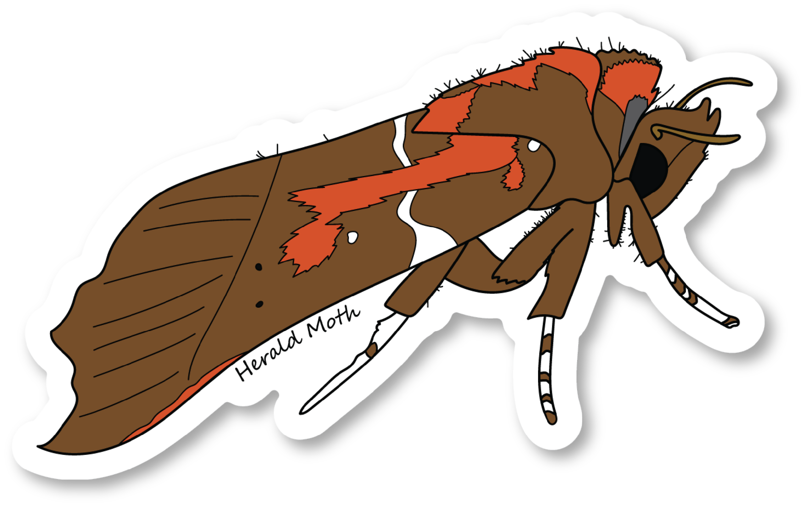 Herald Moth Vinyl Die Cut Sticker, 3 inch
