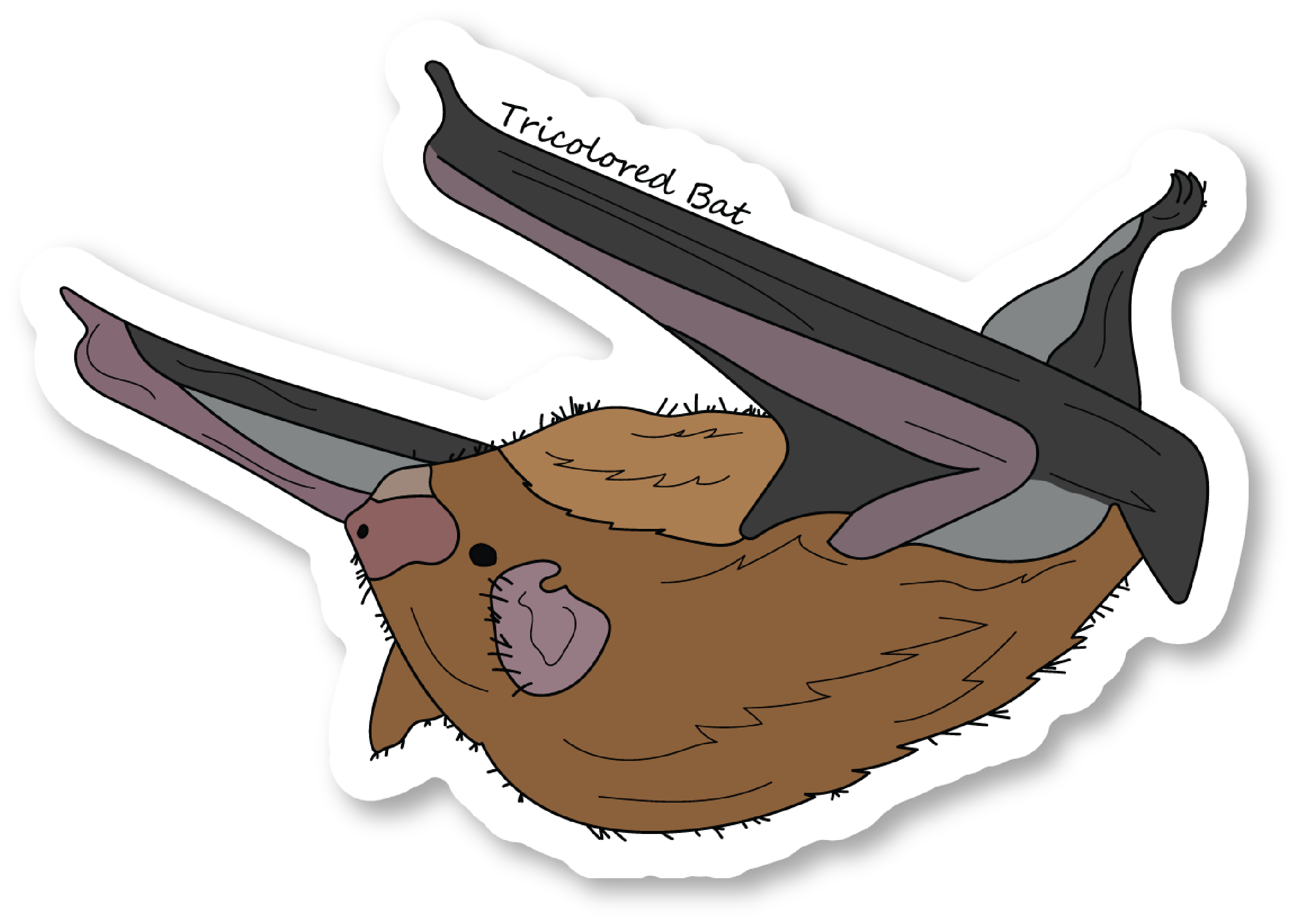 Tricolored Bat Vinyl Die Cut Sticker, 3 inch