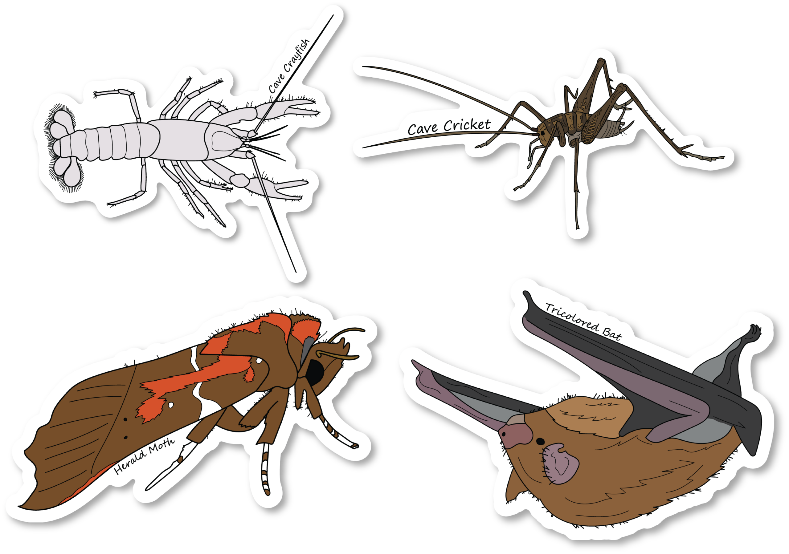 Cave Critters Series 1 Vinyl Die Cut 4 Sticker Bundle A, 3 inch