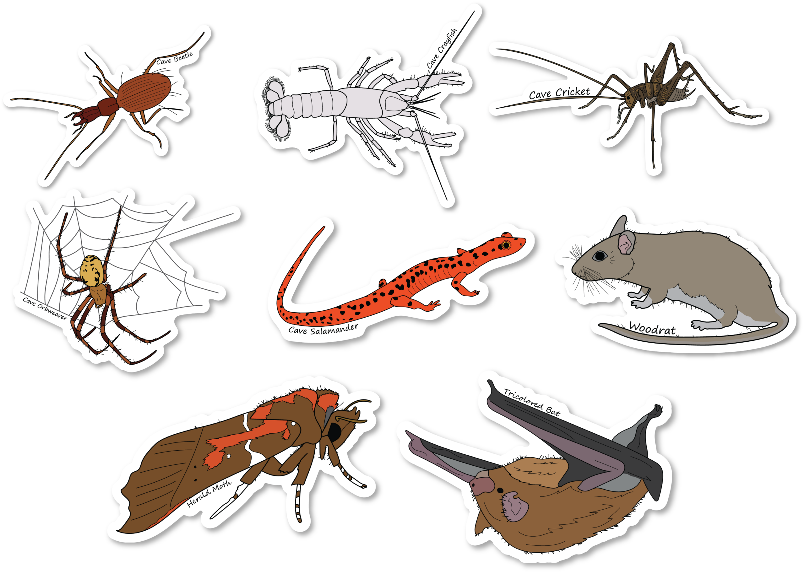 Cave Critters Series 1 Vinyl Die Cut Complete Sticker Bundle, 3 inch