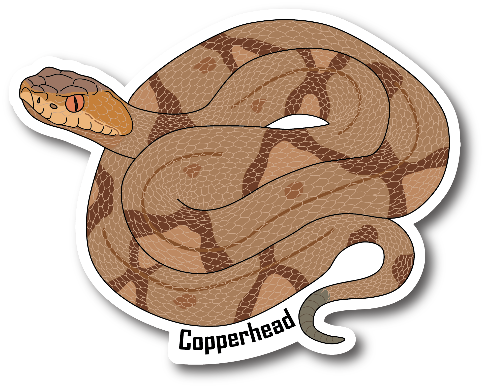 Copperhead Vinyl Die Cut Sticker, 3 inch