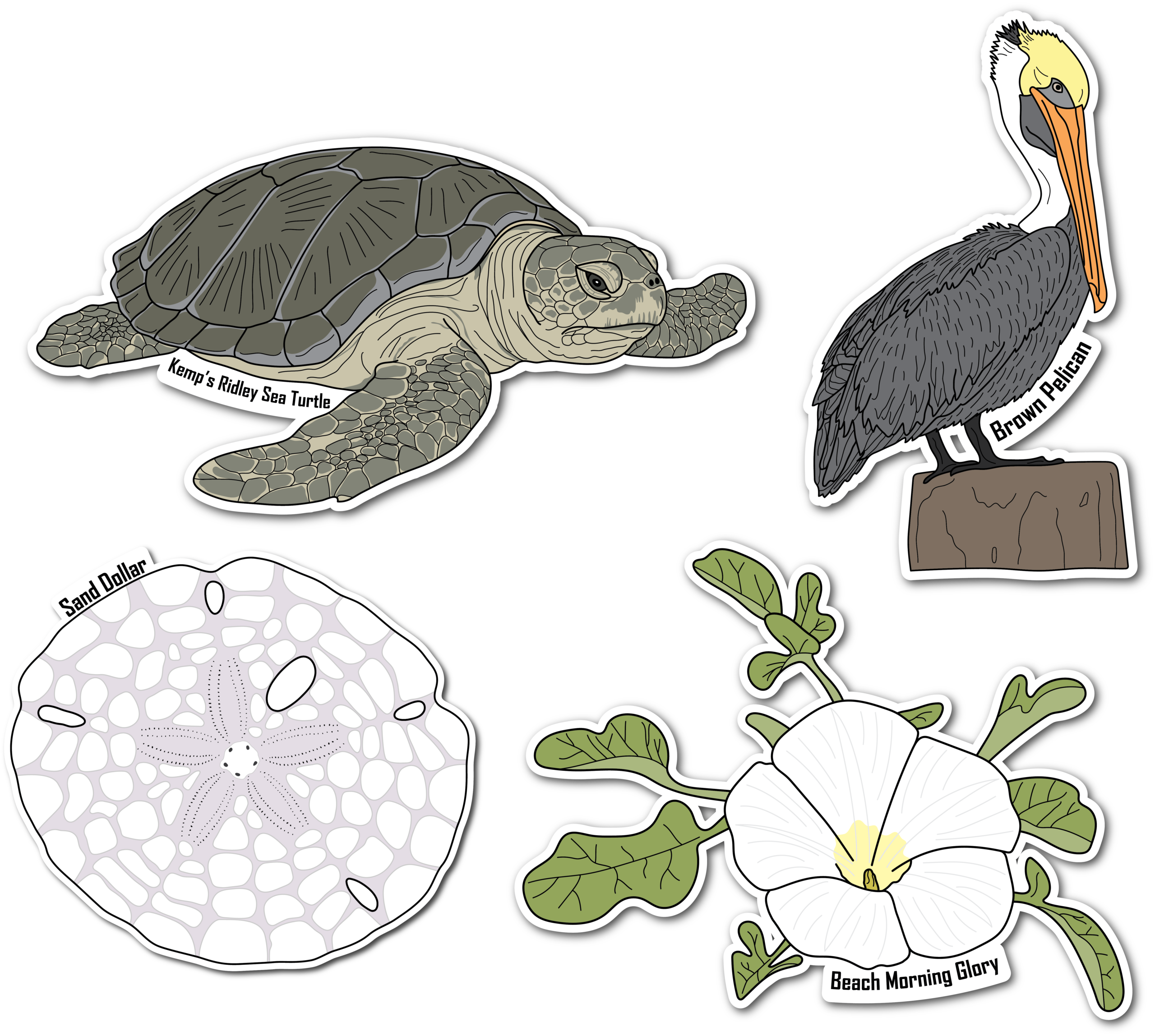 Gulf Coast Nature Walk Series 1 Vinyl Die Cut 4 Sticker Bundle A, 3 inch