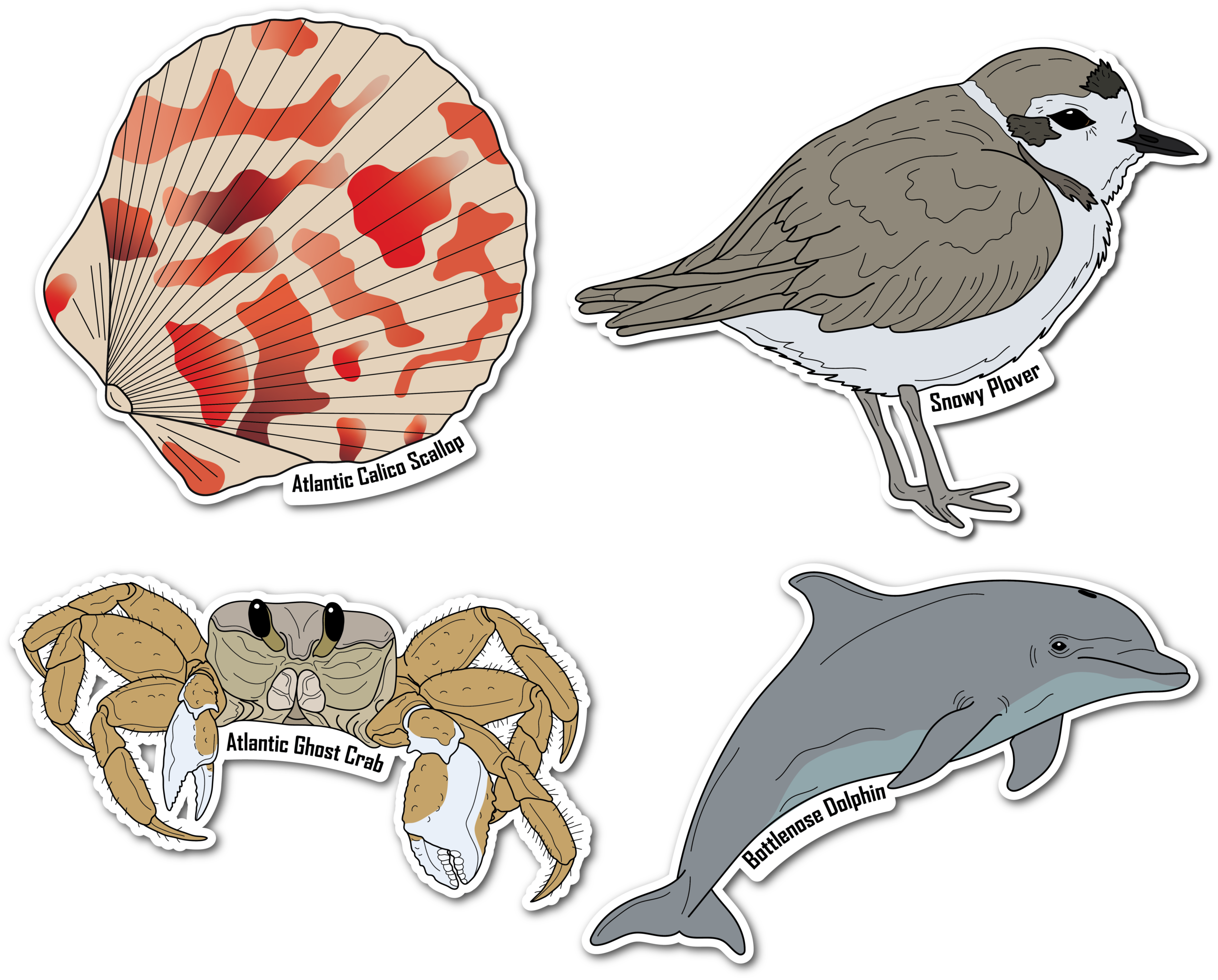 Gulf Coast Nature Walk Series 1 Vinyl Die Cut 4 Sticker Bundle B, 3 inch