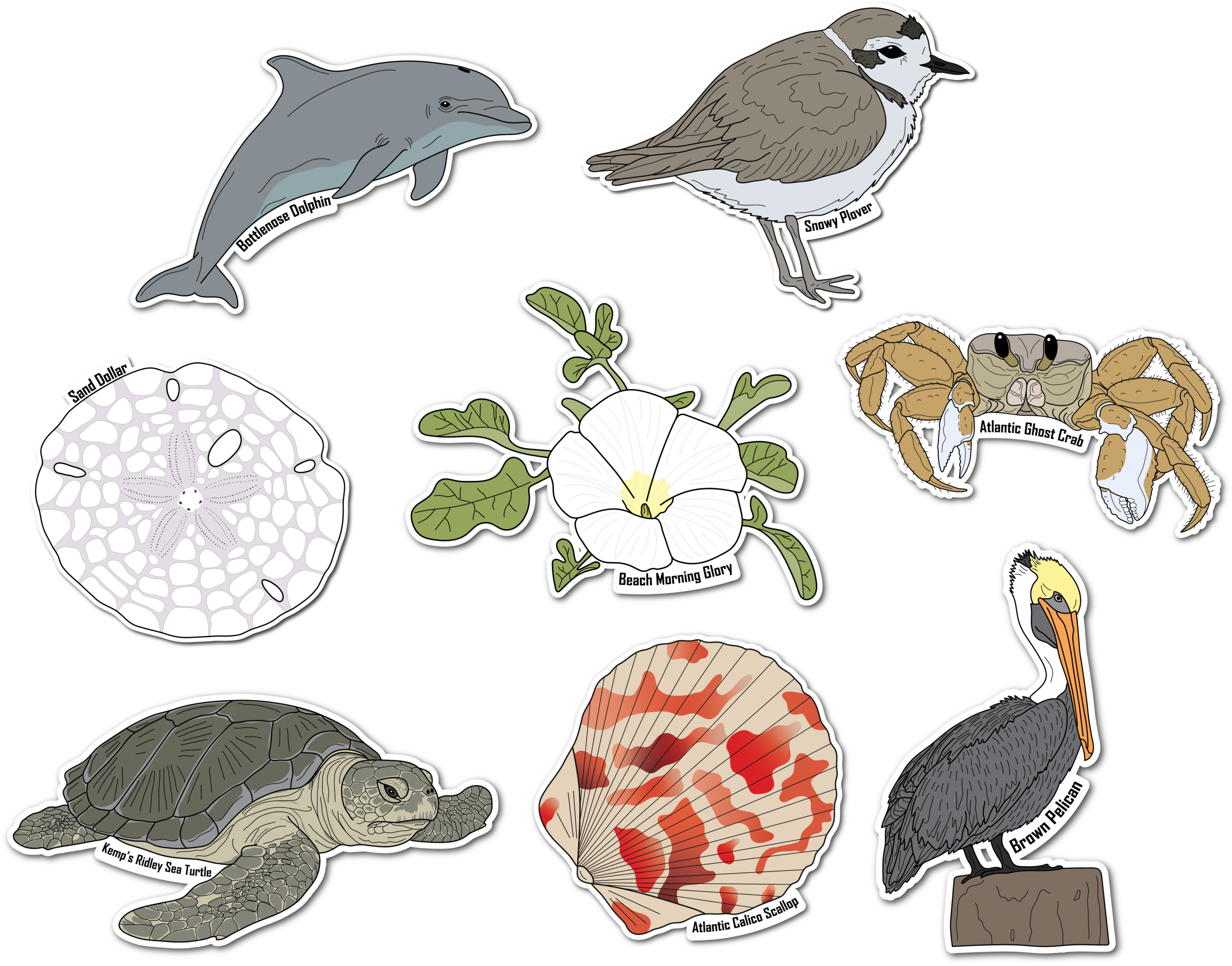 Gulf Coast Nature Walk Series 1 Vinyl Die Cut Complete Sticker Bundle, 3 inch