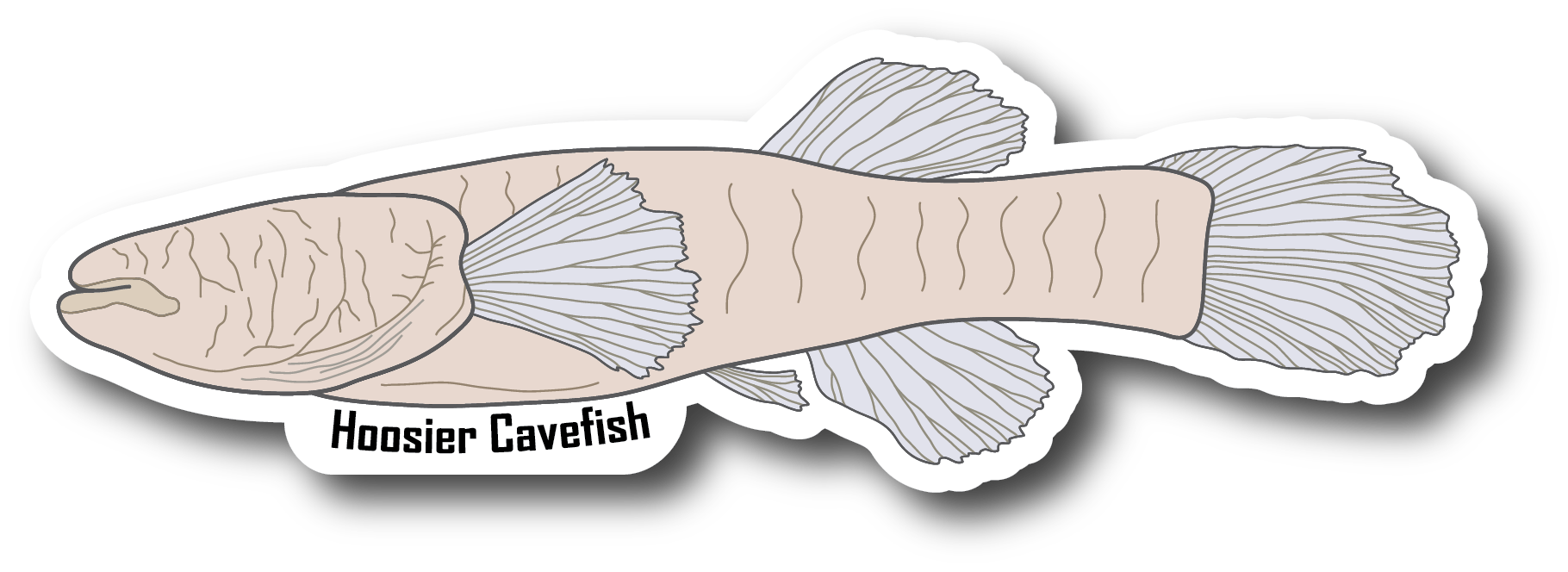 Hoosier Cavefish Vinyl Die Cut Sticker, 3 inch