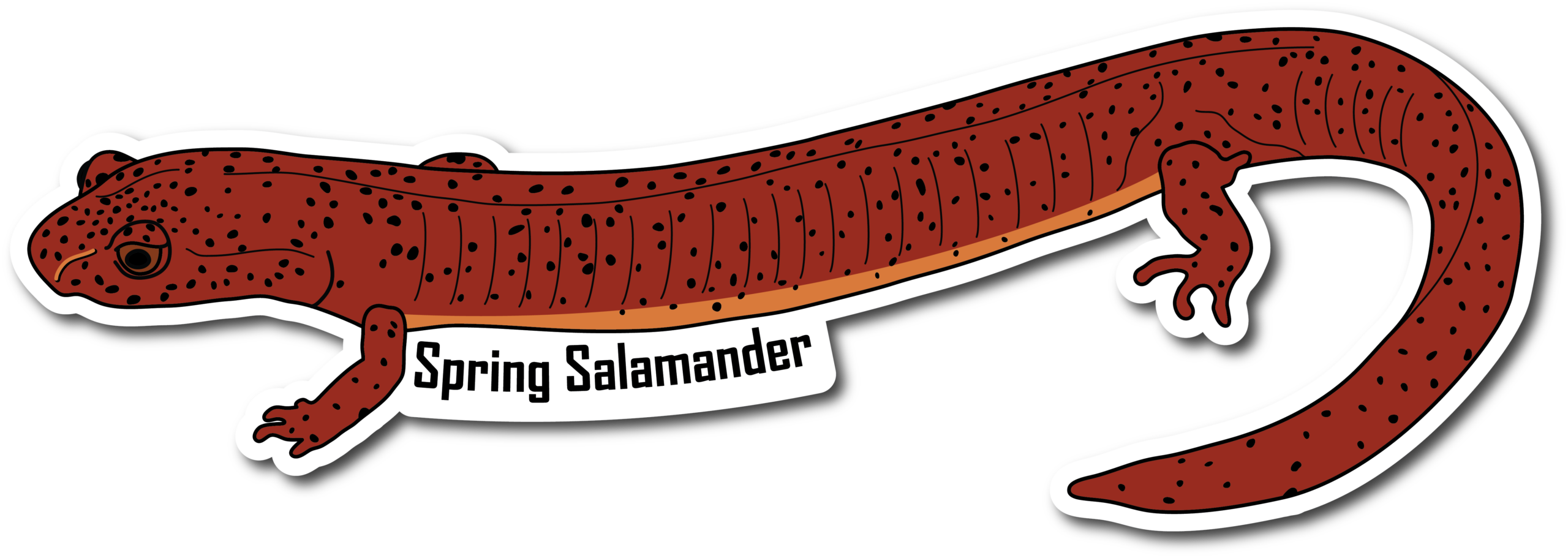 Spring Salamander Vinyl Die Cut Sticker, 3 inch