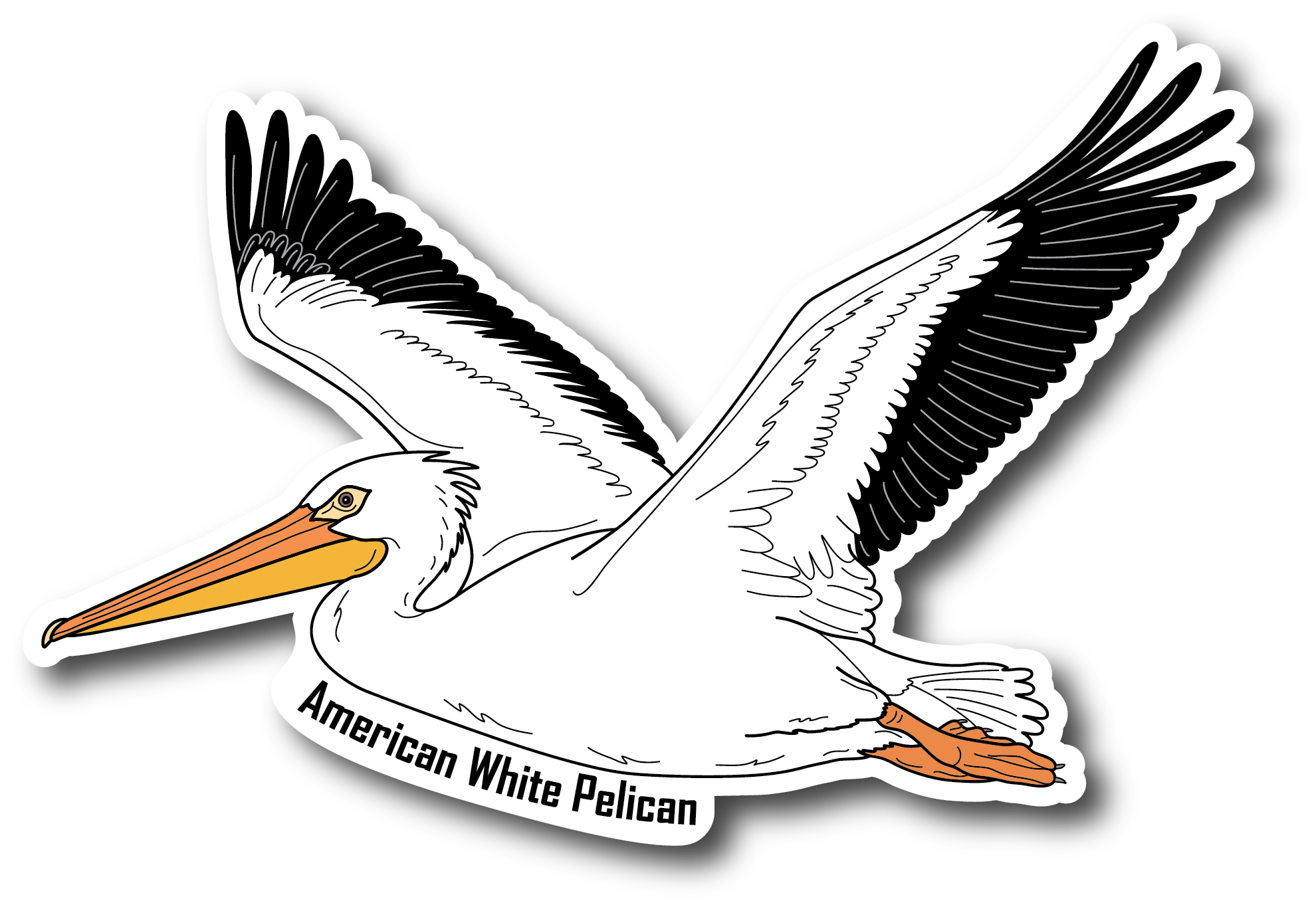 American White Pelican Vinyl Die Cut Sticker